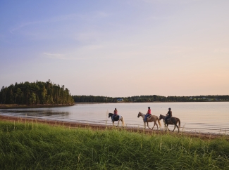 Horseback riding in PEI